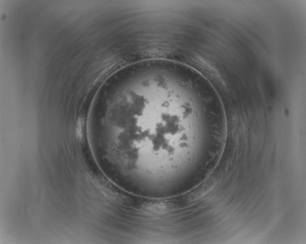 X0000061740075200512091621