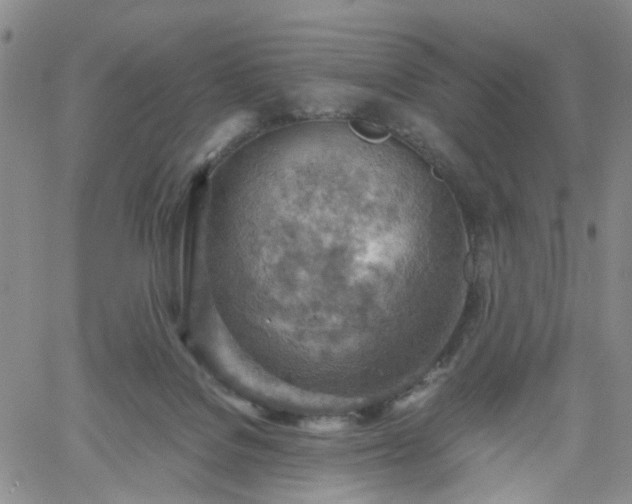 X0000061740076200512091621