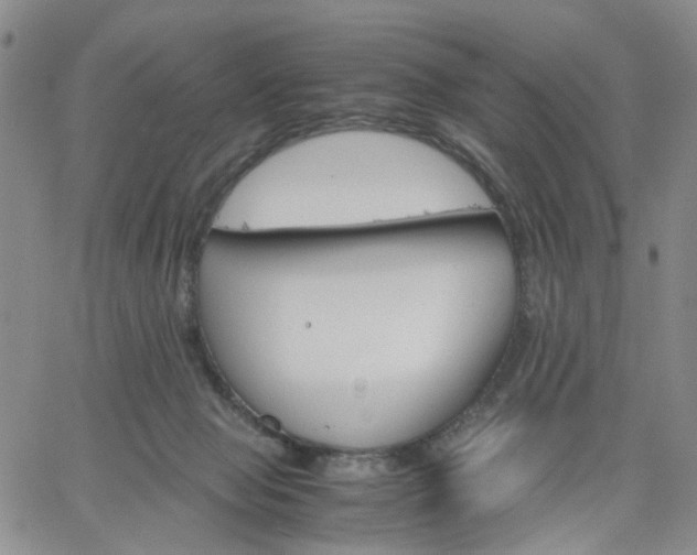 X0000061740077200512091621