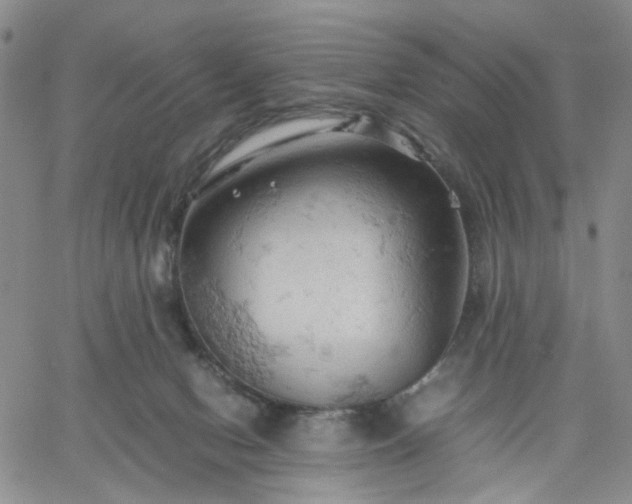 X0000061740078200512091621