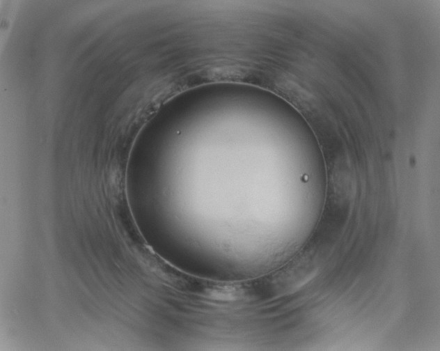 X0000061740079200512091621