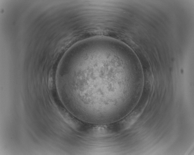 X0000061740080200512091621