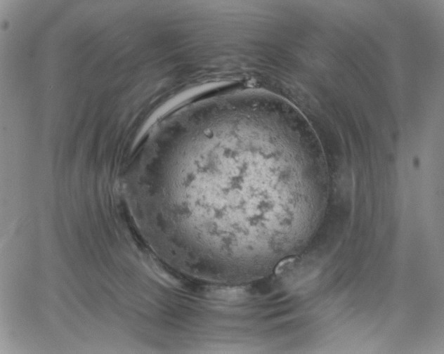 X0000061740081200512091621