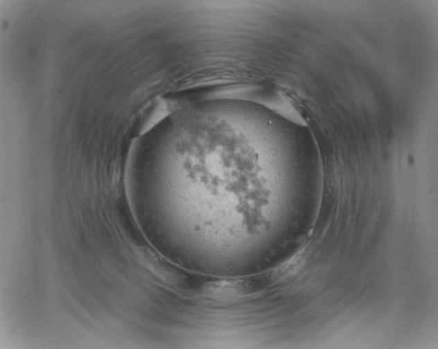 X0000061740082200512091621