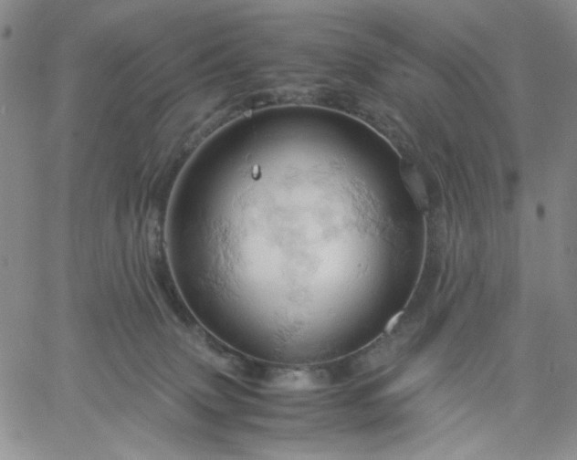 X0000061740083200512091621