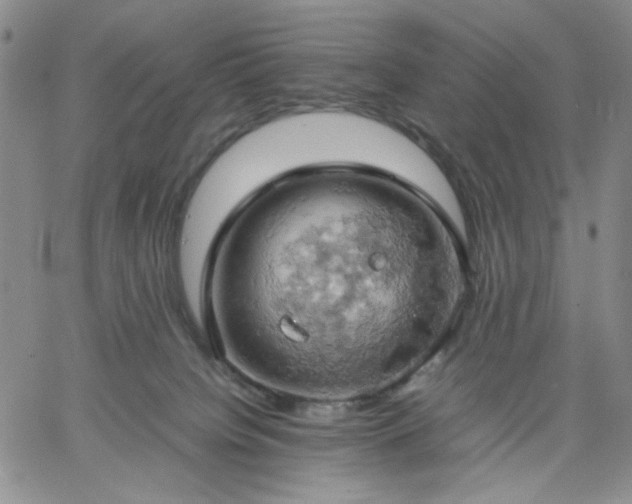 X0000061740084200512091621