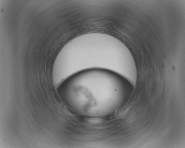 X0000061740085200512091621