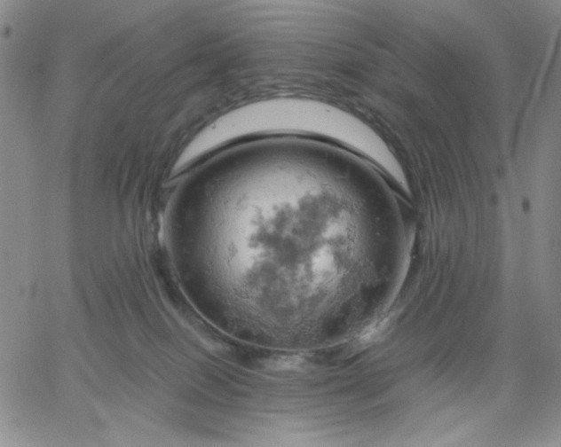 X0000061740086200512091621