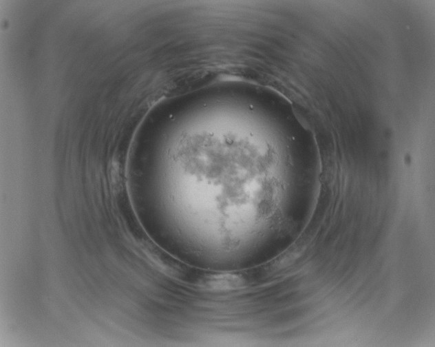 X0000061740087200512091621