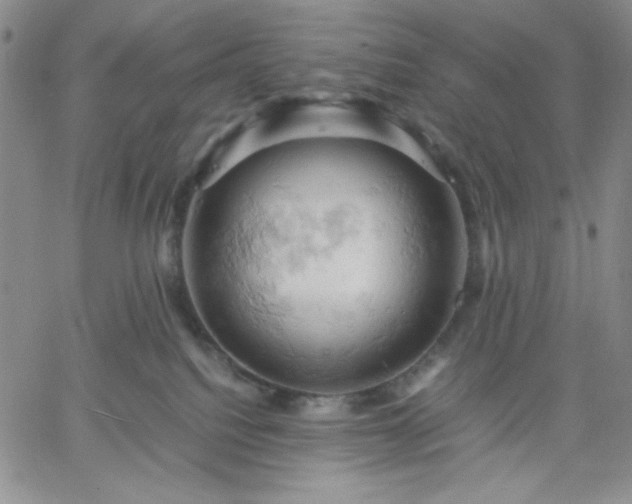 X0000061740088200512091621