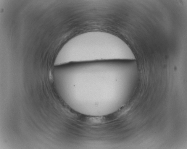 X0000061740089200512091621