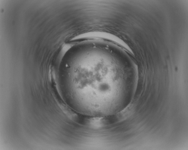 X0000061740090200512091621