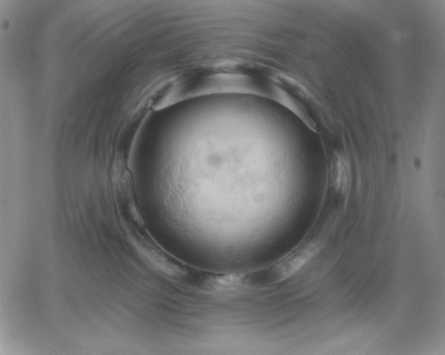 X0000061740092200512091621