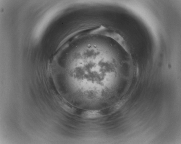 X0000061740093200512091621