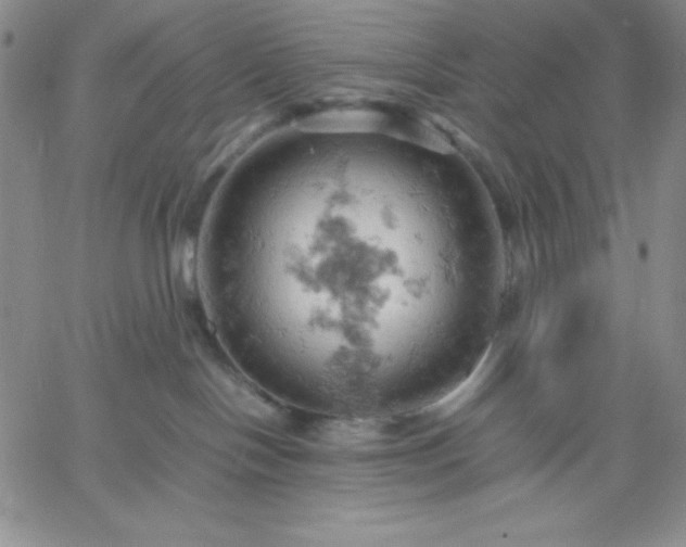 X0000061740094200512091621