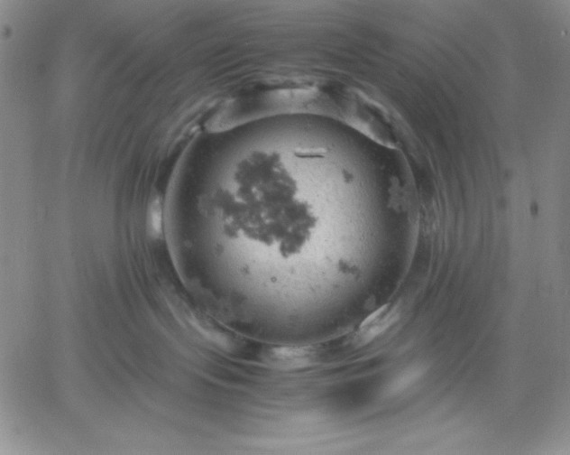 X0000061740095200512091621