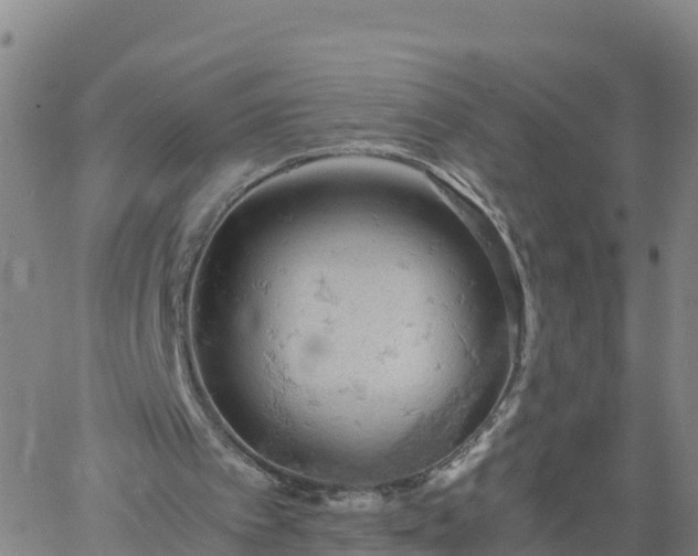 X0000061740097200512091621