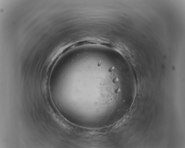 X0000061740098200512091620