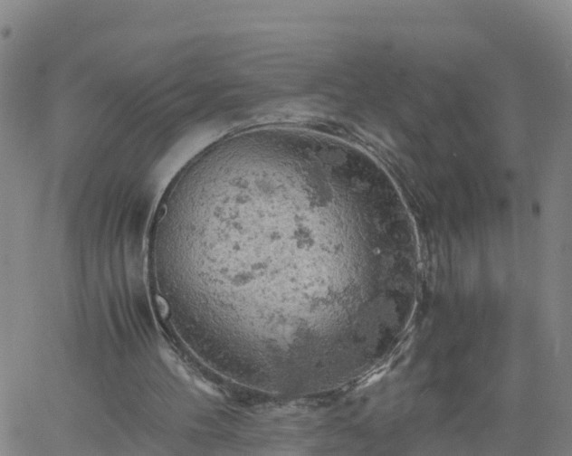 X0000061740100200512091620