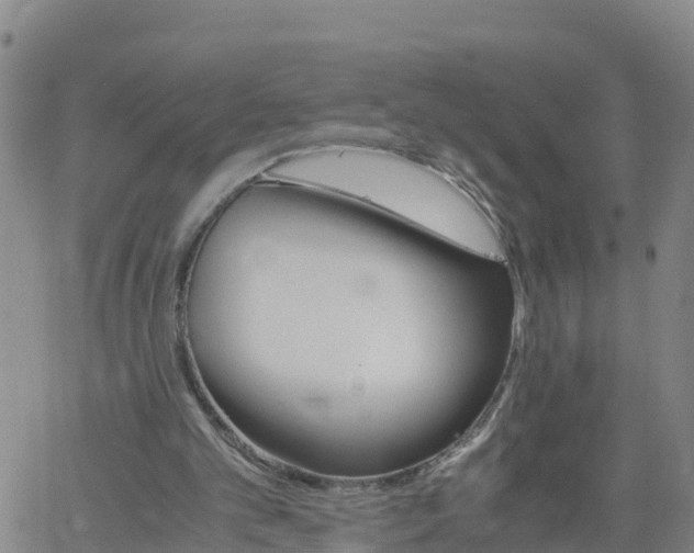 X0000061740101200512091620