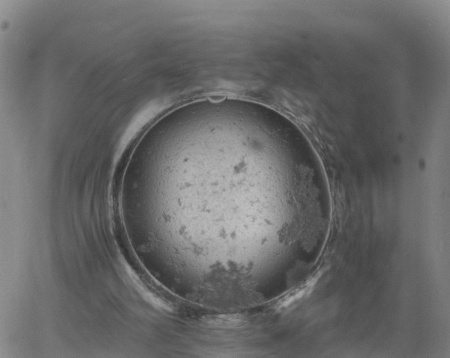 X0000061740102200512091620