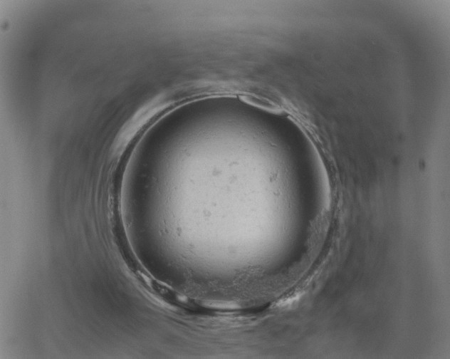 X0000061740103200512091620