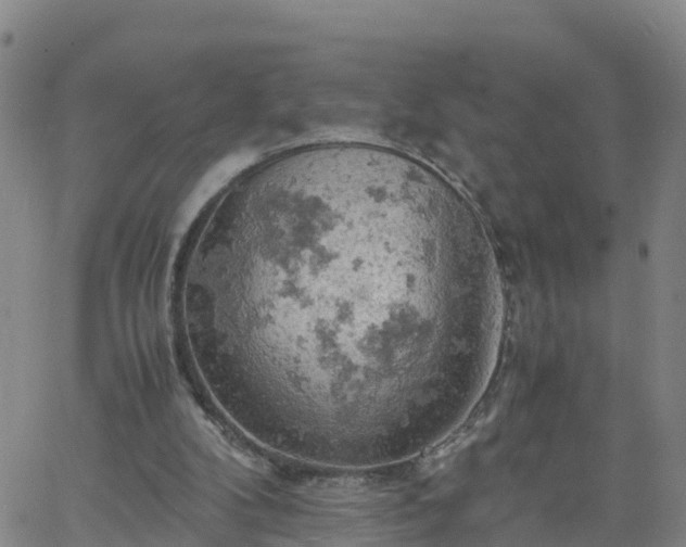 X0000061740104200512091620