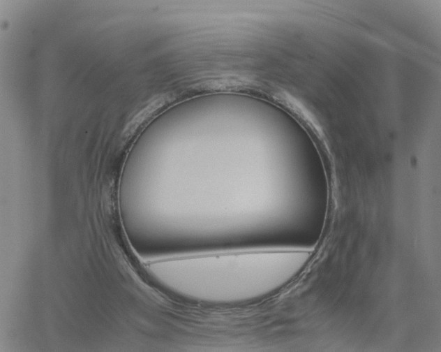 X0000061740105200512091620