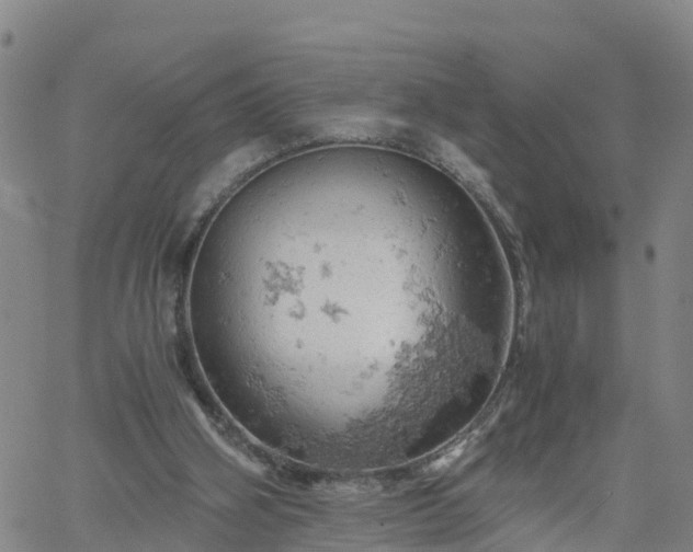 X0000061740106200512091620