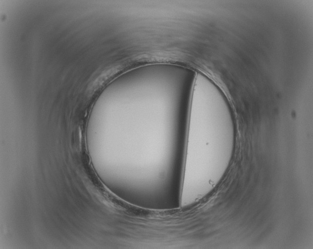 X0000061740109200512091620