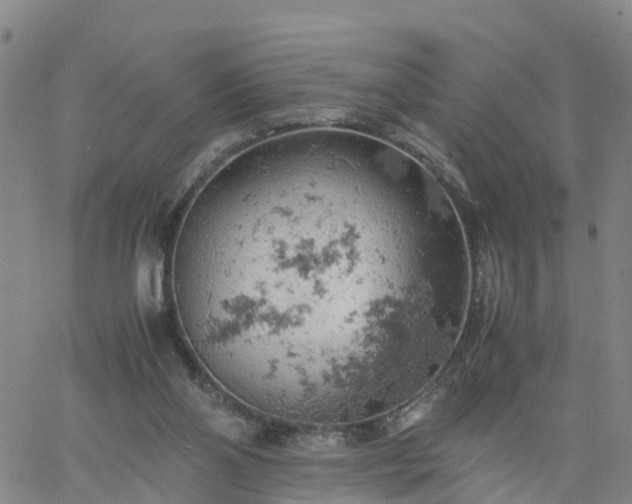 X0000061740110200512091620