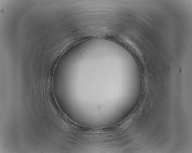 X0000061740113200512091620