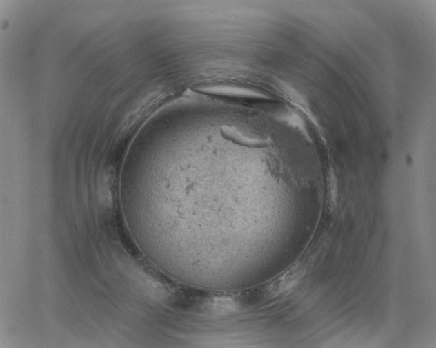 X0000061740114200512091620