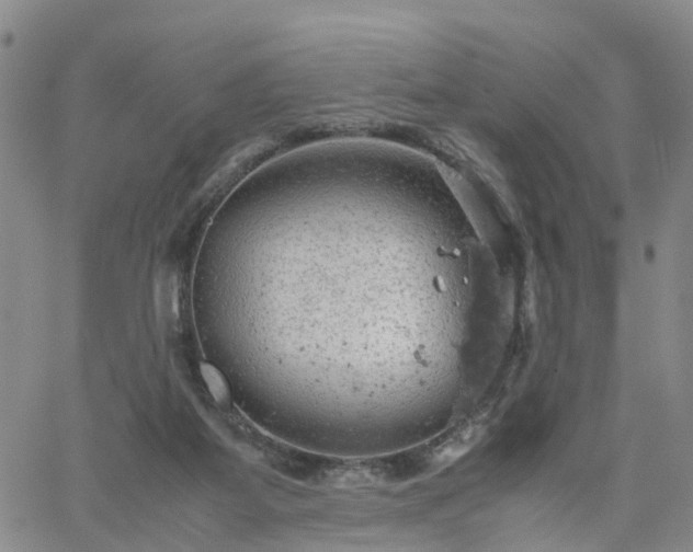 X0000061740115200512091620