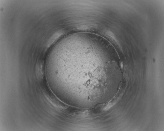 X0000061740116200512091620