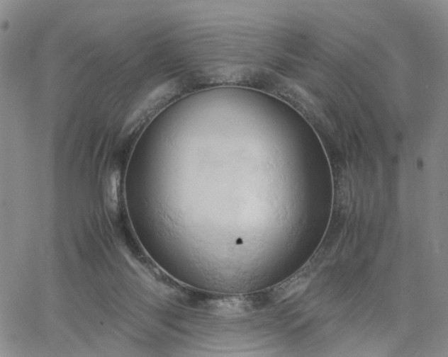 X0000061740118200512091620