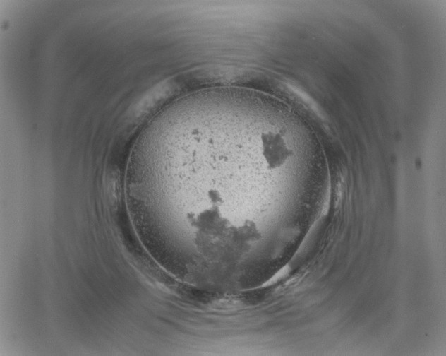 X0000061740119200512091620