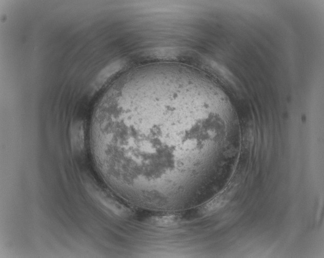 X0000061740120200512091620