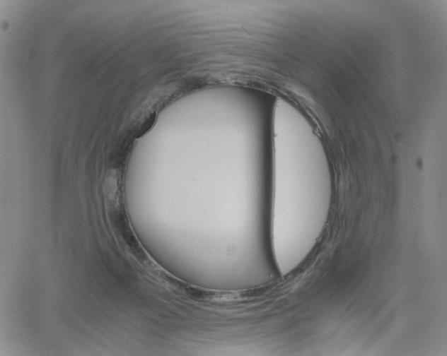 X0000061740121200512091620