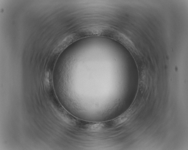 X0000061740122200512091620