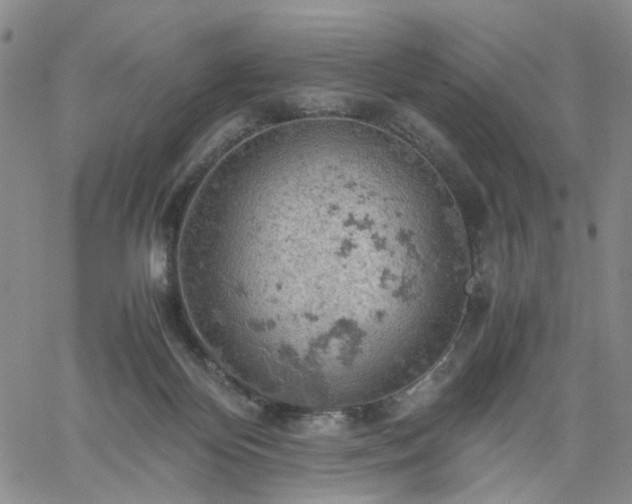 X0000061740124200512091620