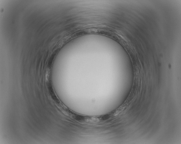 X0000061740125200512091620