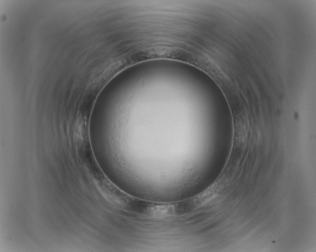 X0000061740126200512091620