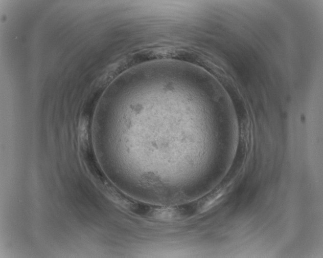 X0000061740127200512091620