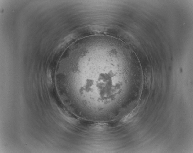 X0000061740128200512091620