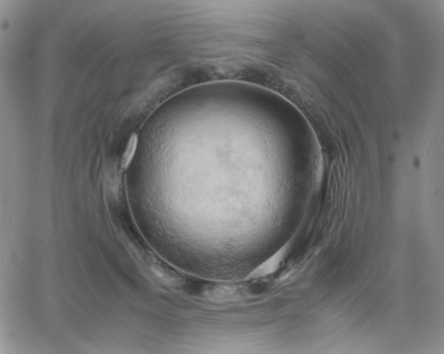 X0000061740129200512091620