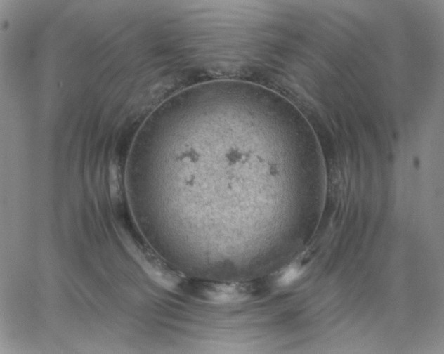 X0000061740130200512091620