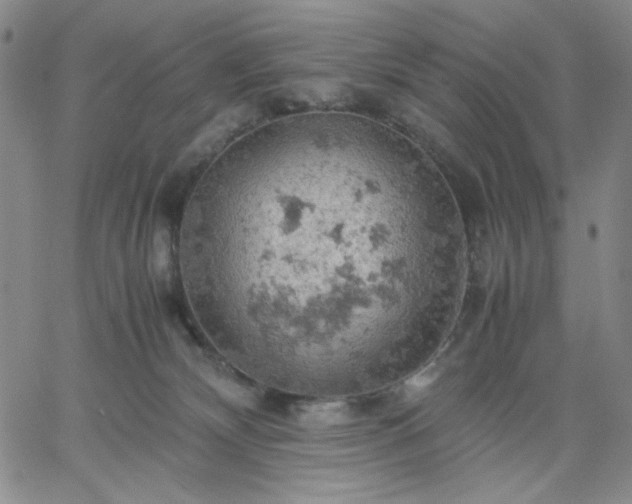 X0000061740132200512091620