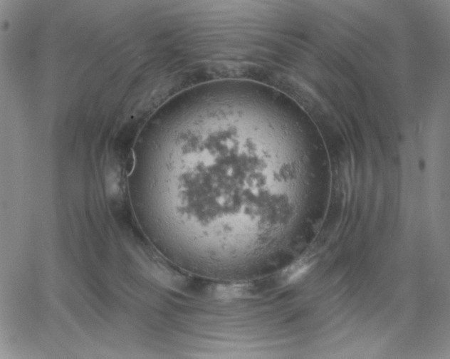 X0000061740134200512091620