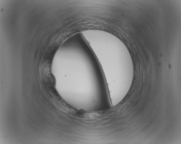 X0000061740137200512091620